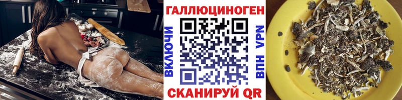дарк нет телеграм  Починок  Псилоцибиновые грибы ЛСД 