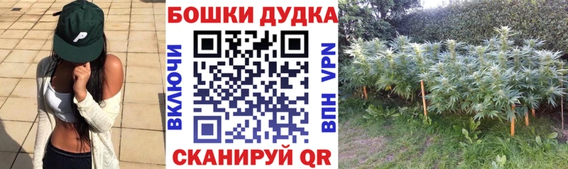 хочу наркоту  Починок  Марихуана Amnesia 